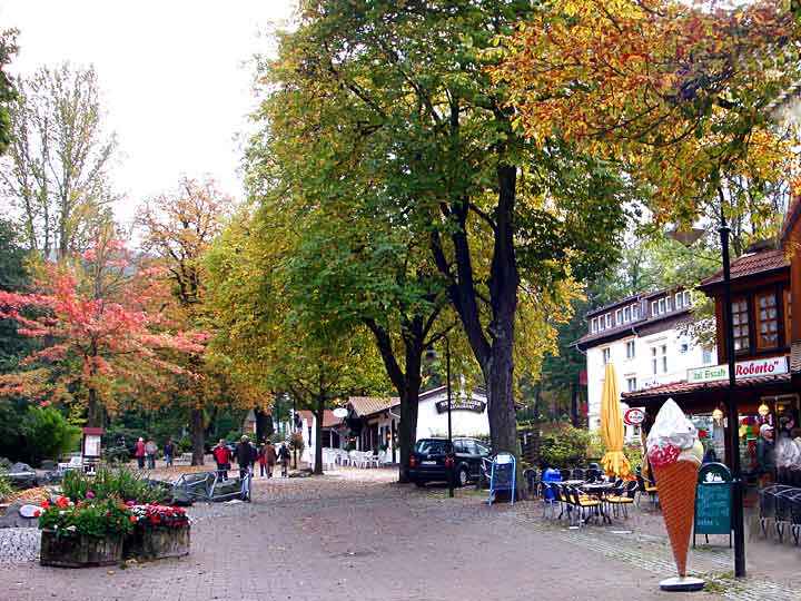 Geschäftsstraße in Bad Harzburg