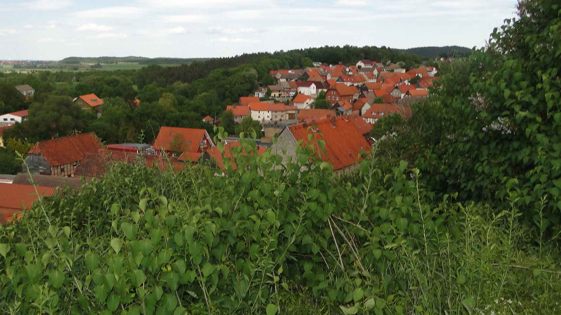 Blick über Langenstein