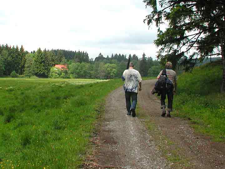 Wandern im Harz - Entlang an den Bächen