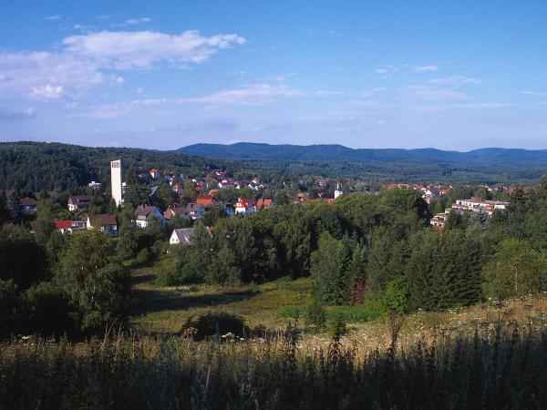 Die Sachsenburg bei Bad Sachsa Harz Urlaub Aussicht