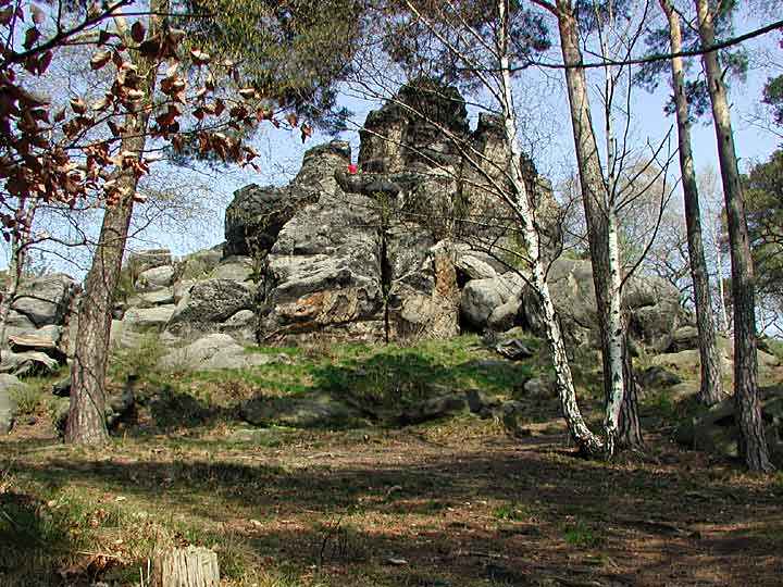 Blick zum Großvater-Felsen der Teufelsmauer bei Blankenburg