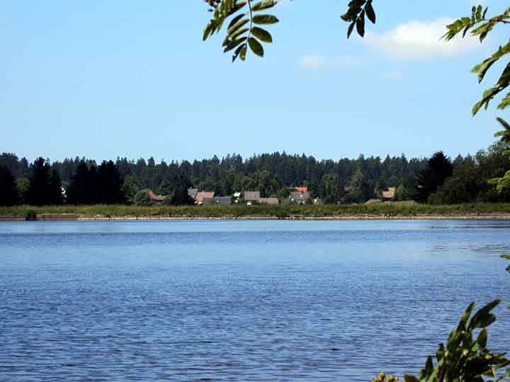 Ziegenberger Teich mit Buntenbock