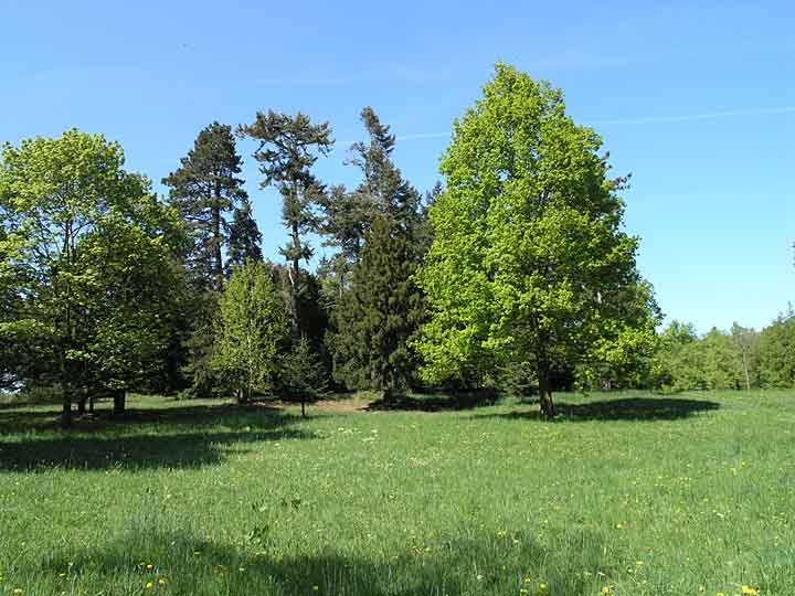 Landschaftspark Degenershausen