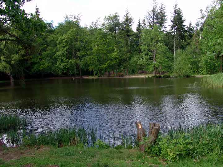 Teich bei Drübeck