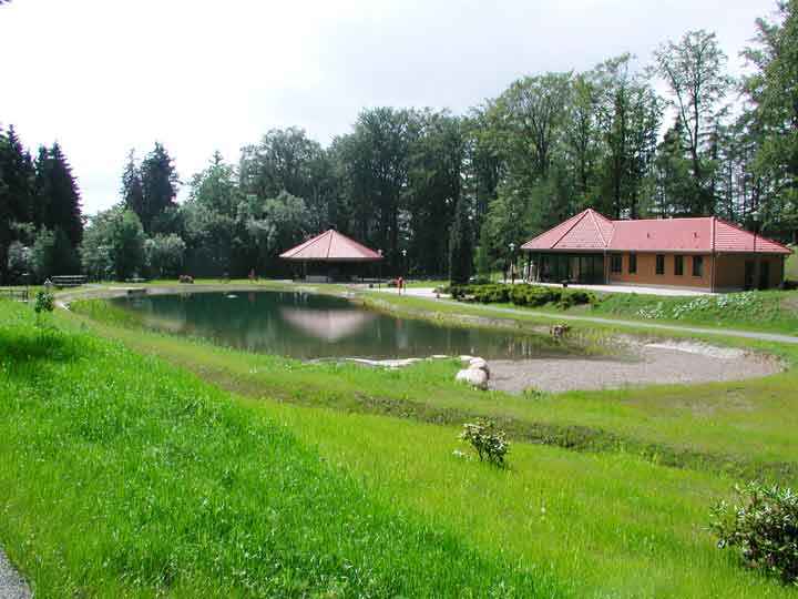 Kleiner Teich im Park in Friedrichsbrunn