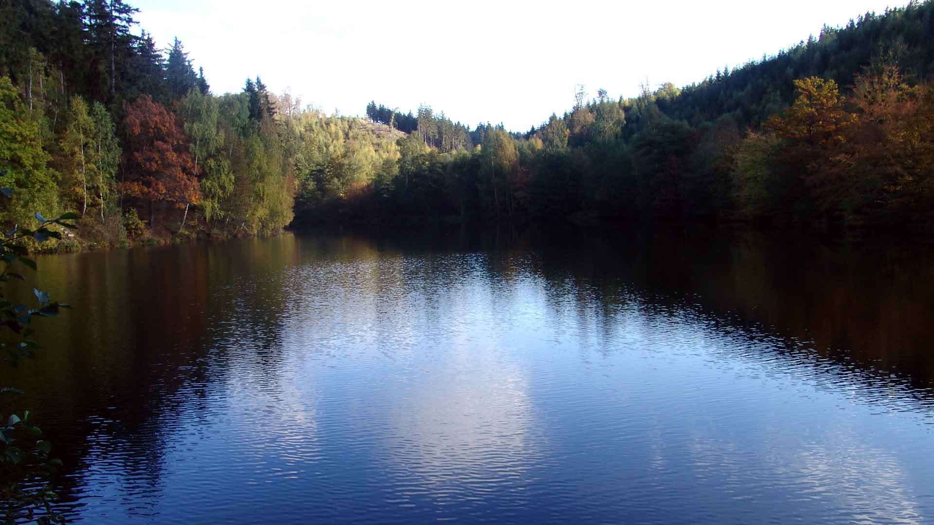 Heiliger Teich bei Gernrode