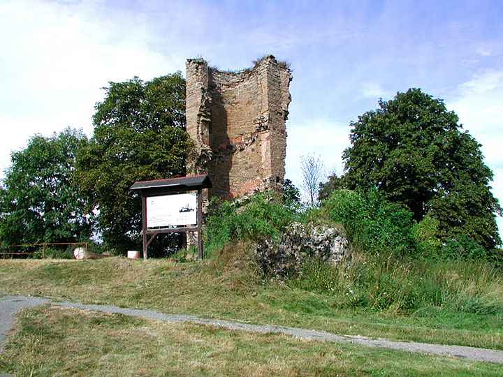 Burg Arnstein bei Harkerode - Info-Tafel