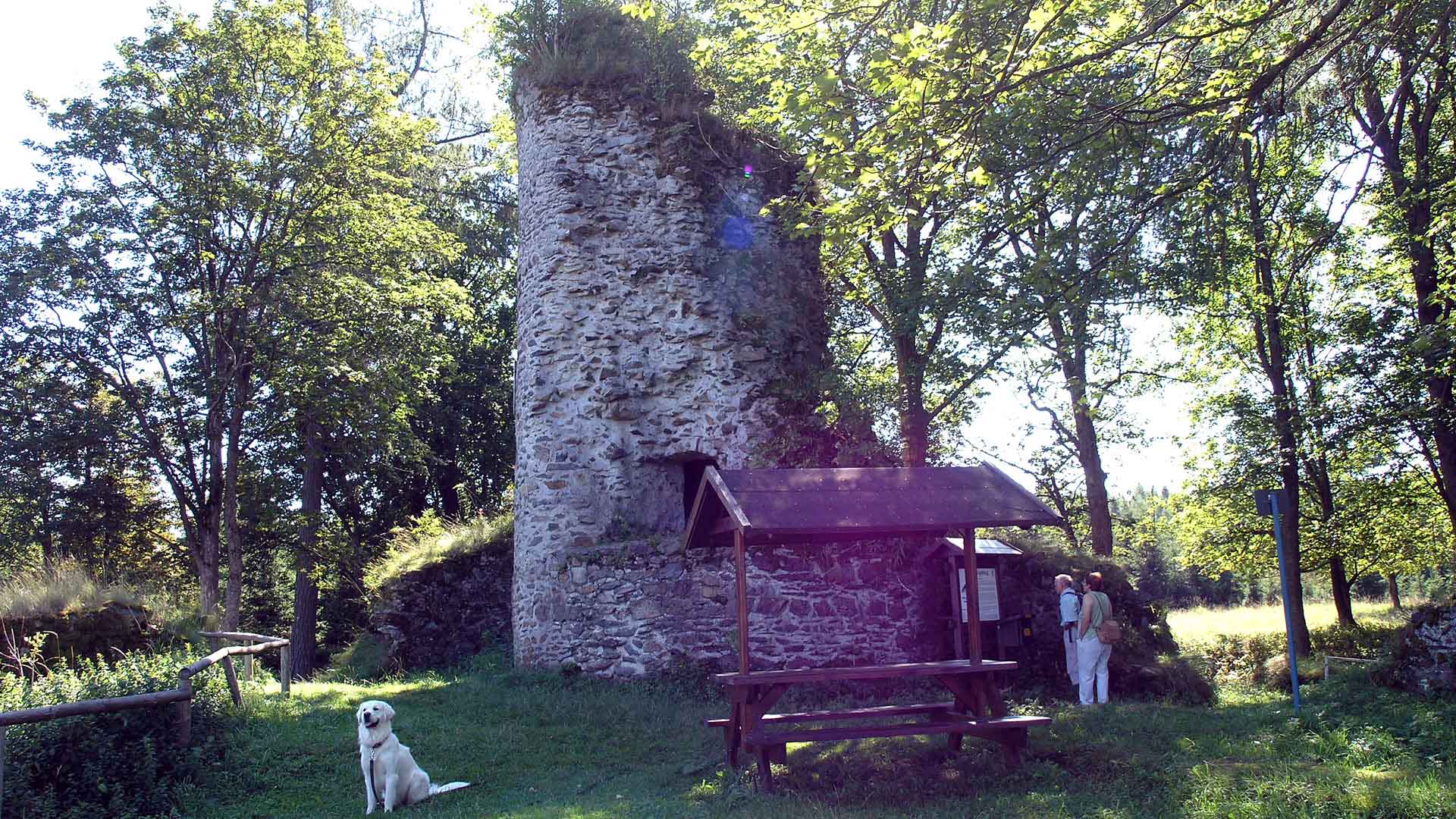 Ruine Königsburg bei Königshütte mit Rastplatz