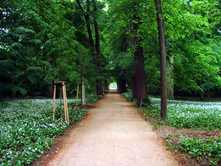 Der Brühl - Park in Quedlinburg