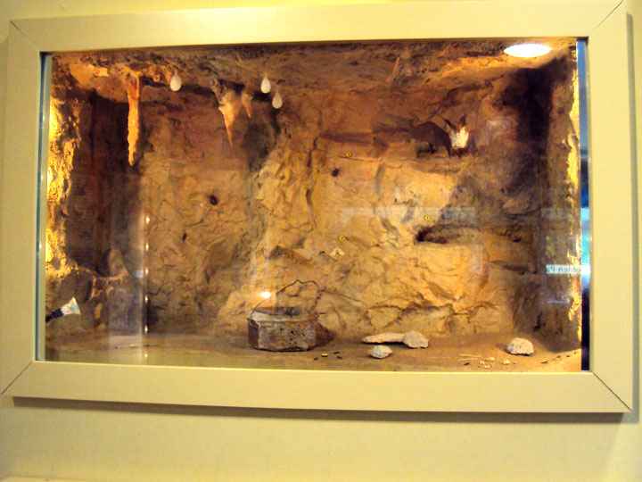Ausstellung in Baumannshöhle in Rübeland