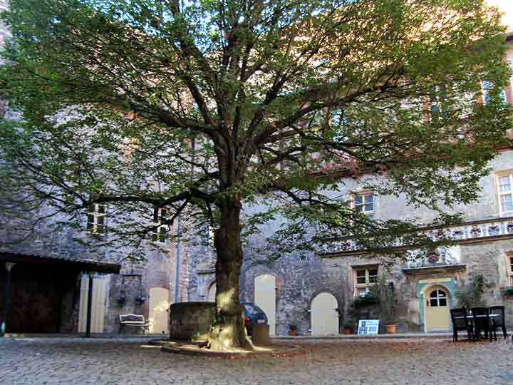 Burg Schlanstedt am Huy - Innenhof