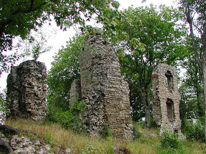 Ruine Stecklenburg bei Stecklenberg