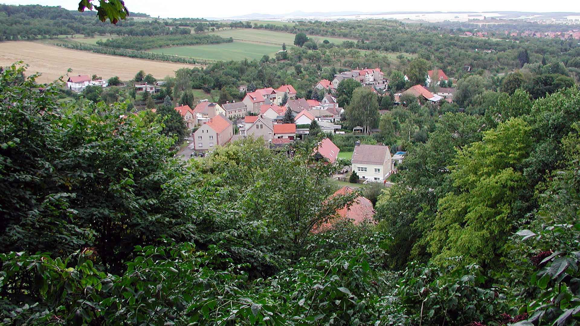 Blick nach Stecklenberg