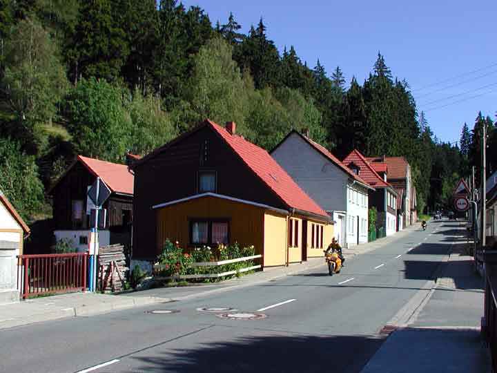 Waldstraße in Tanne