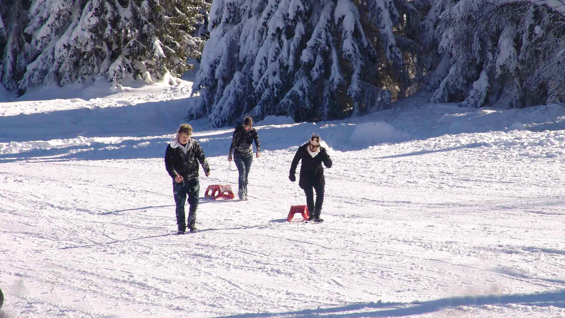 Ski- und Rodelvergnügen im Harz - der Aufstieg