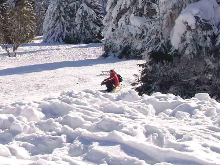 Ski- und Rodelvergnügen im Harz