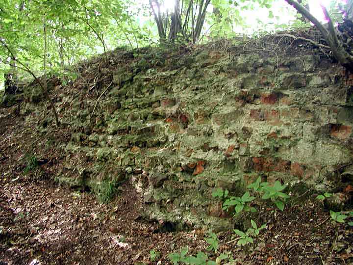 Überreste des Alten Schlosses von Wippra