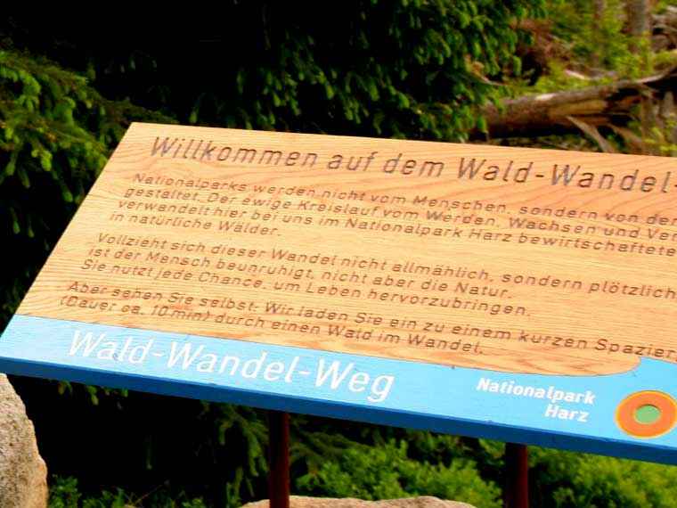 WaldWandelWeg am Schubenstein bei Torfhaus