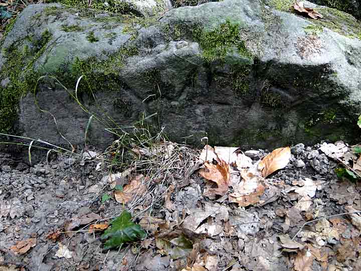 Der „Opferstein“ auf der Olbertshöhe bei Bad Suderode -Seitliche Ansicht