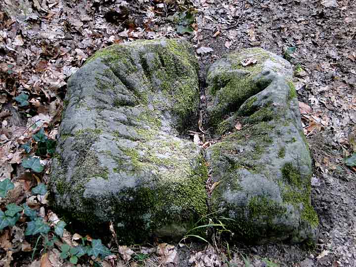 Der „Opferstein“ auf der Olbertshöhe bei Bad Suderode von oben