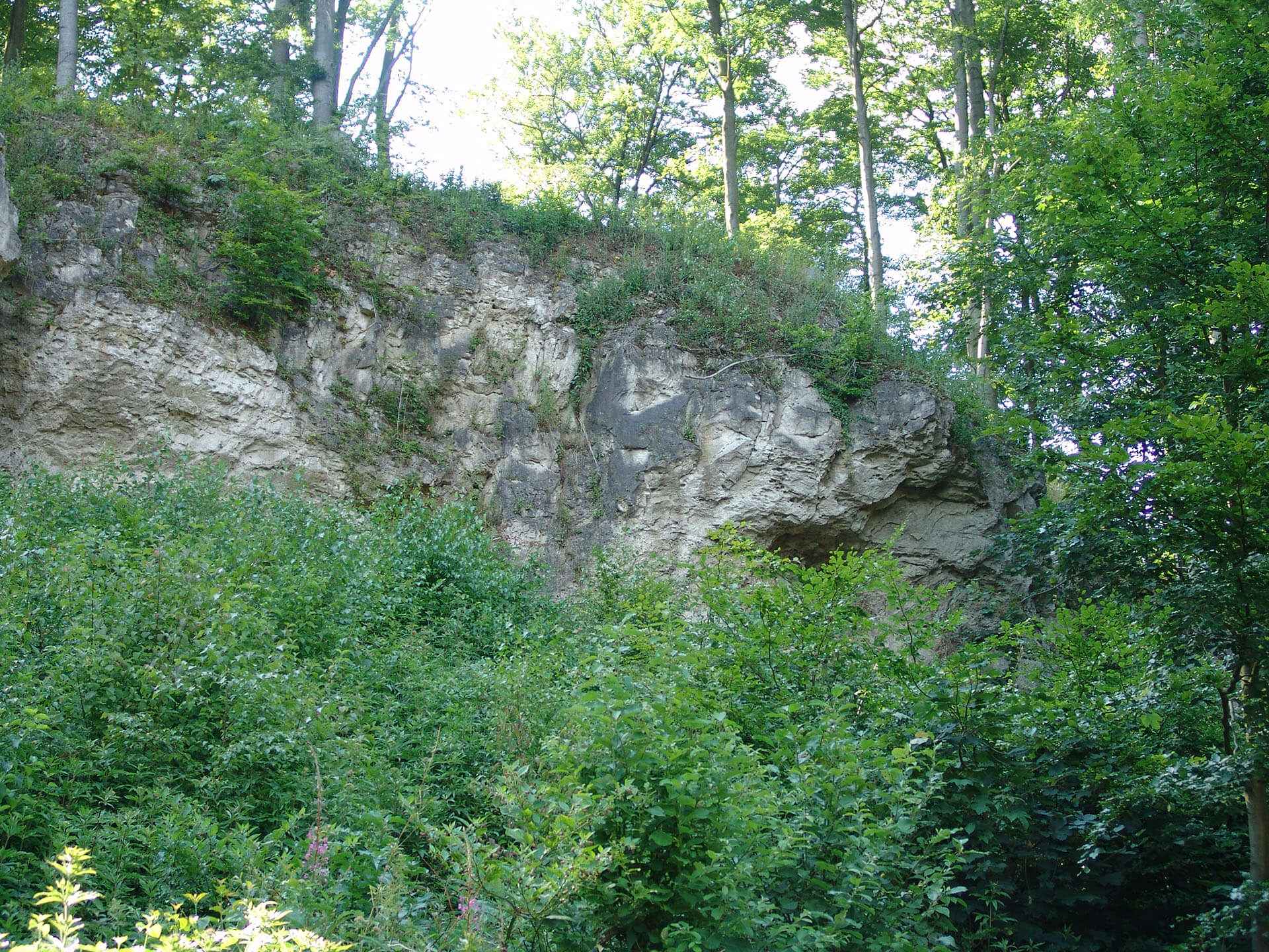 Die Einhornhöhle im OT Scharzfeld von Herzberg