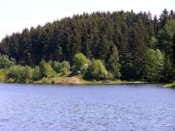Ufer des Teufelsteich zwischen Harzgerode und Neudorf