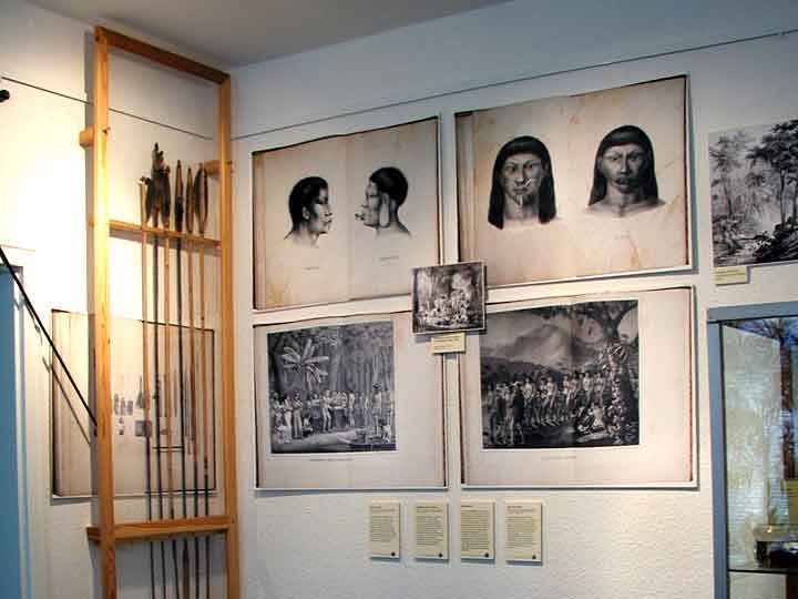 Ausstellung im Blumenau Museum Hasselfelde