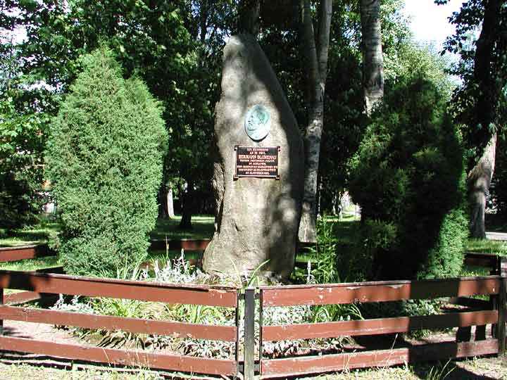Denkmal am Bahnhof für Dr. Hermann Blumenau in Hasselfelde