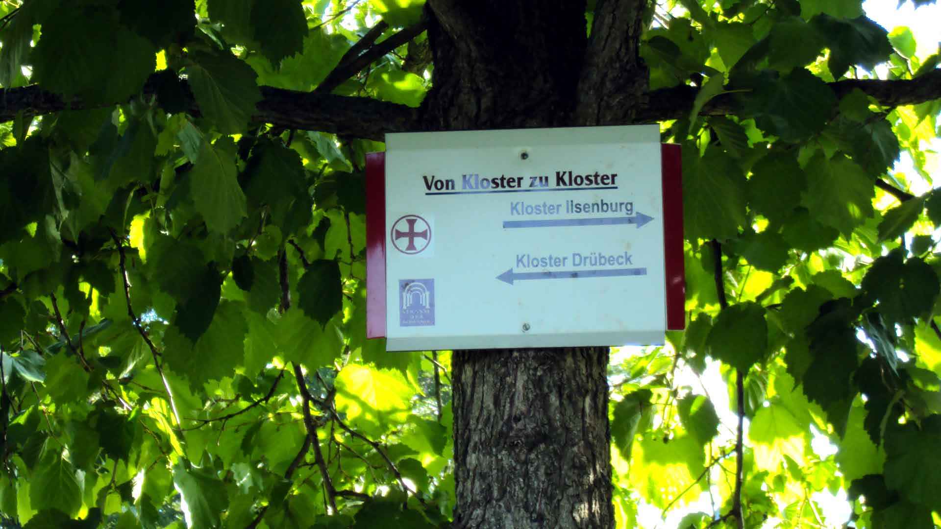 Kloster Wanderweg bei Ilsenburg
