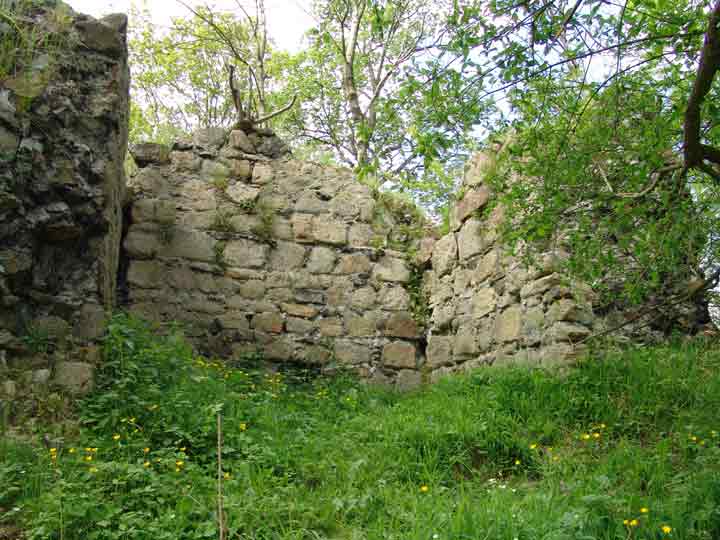 Die Burgruine Heinrichsburg Mägdesprung- Mauerreste