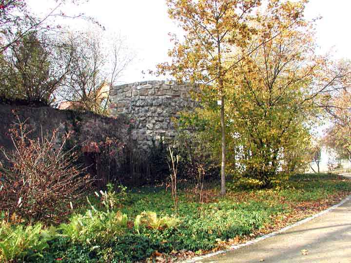 Mauer im Naturpark Gehege Nordhausen