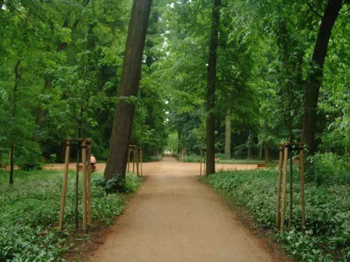 Im Brühlpark in Quedlinburg