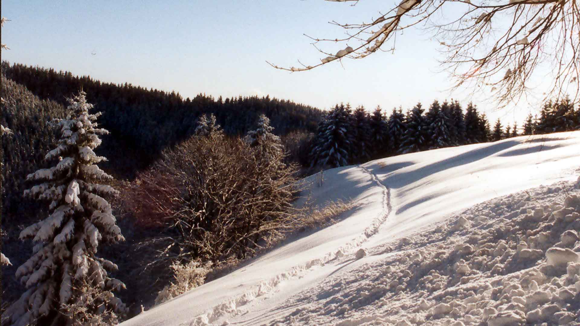Wintersport in Sankt Andreasberg -Spuren im Schnee