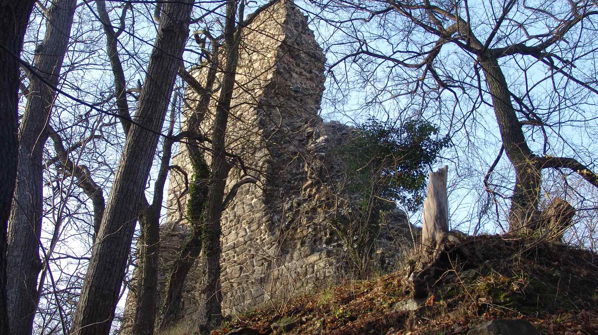 Große Lauenburg bei Stecklenberg