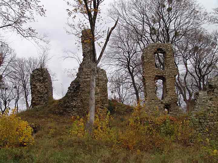 Die Ruine Stecklenburg - Reste der Anlage