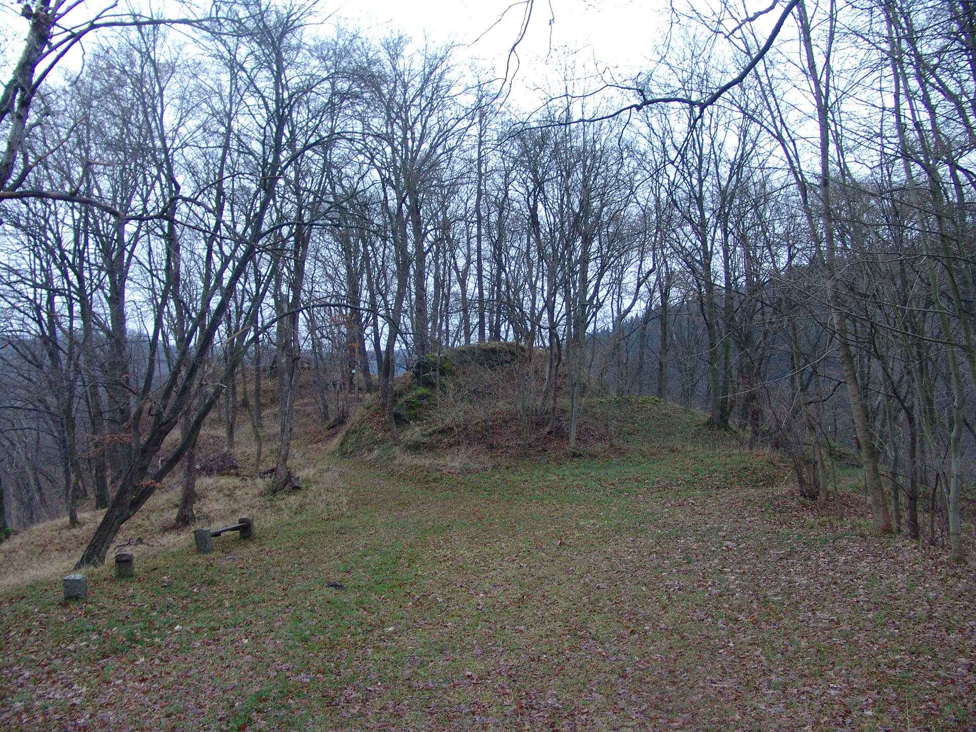 Ruine Treseburg