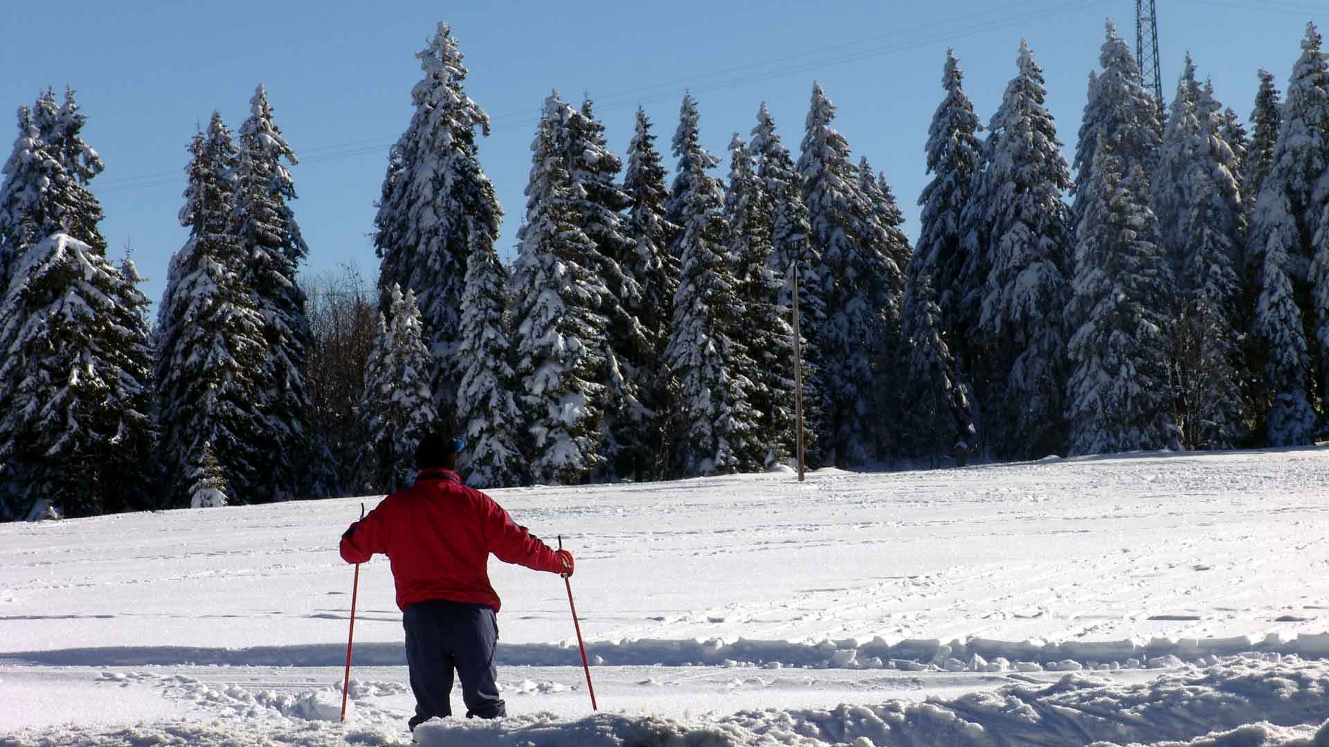 Wintersport im Harz