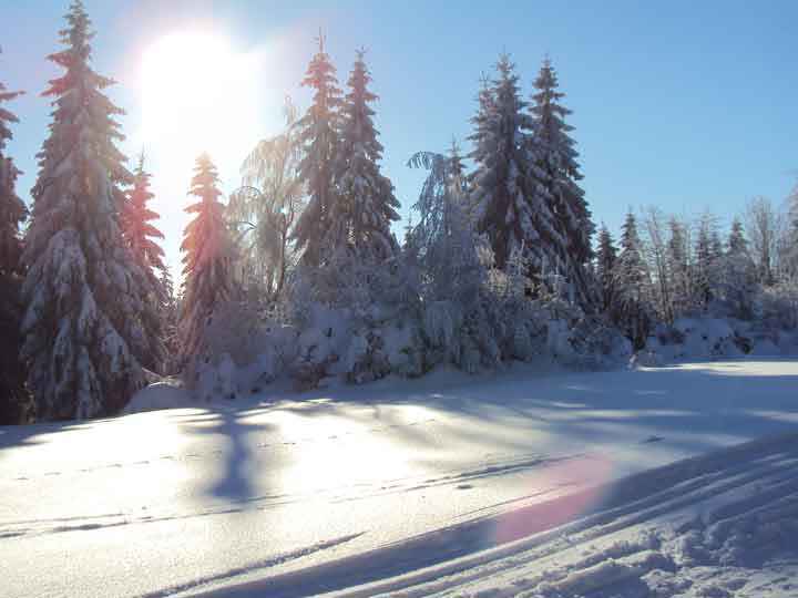Wintersonne über Loipe im Harz