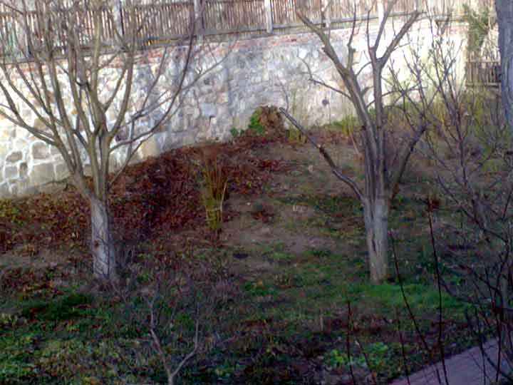 Graben der Burg Geronisroth in Gernrode