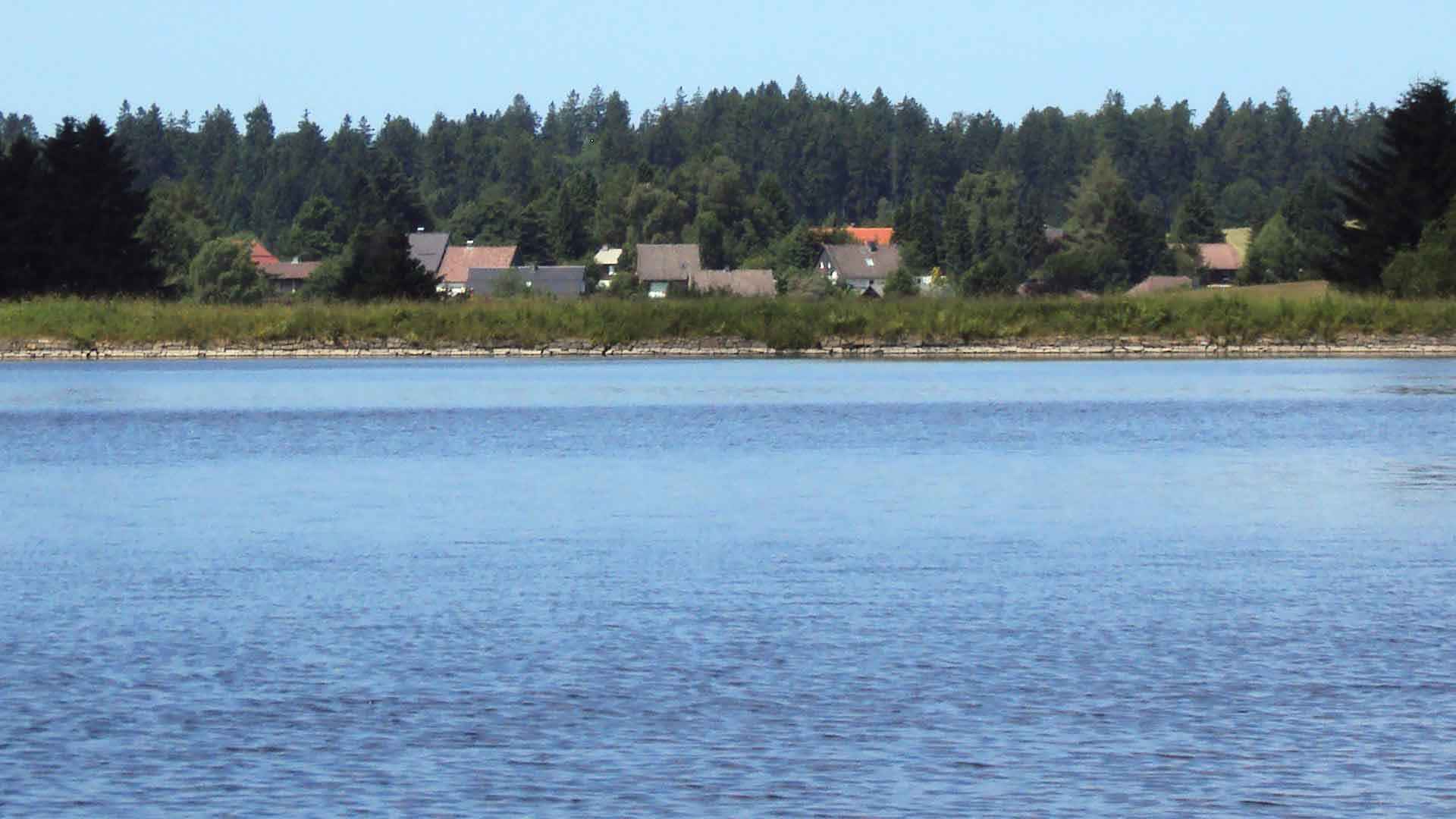 Ziegenberger Teich bei Buntenbock