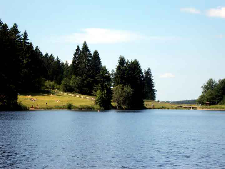 Liegewiese am Ziegenberger Teich bei Buntenbock