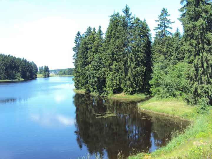 Ufer am Ziegenberger Teich bei Buntenbock
