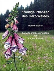 Krautige Pflanzen im Harz - das Buch über Kräuter und Waldpflanzen im Harz | Harz Urlaub - das Urlaubsportal im Harz